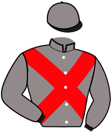 Casaque de NUT AND MONEY