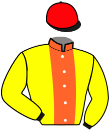 Casaque de LIKE THE WIND