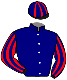 Casaque de LIPTON DU NOYER