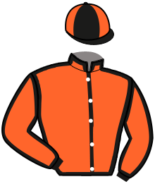 Casaque de MATISSE DU PONT