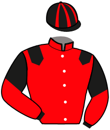 Casaque de LANCELOT SUEDOIS