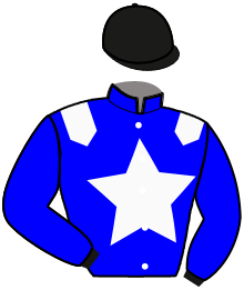 Casaque de MISS BRESIL DELF