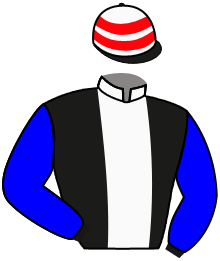 Casaque de MAITRISE DU RISQUE