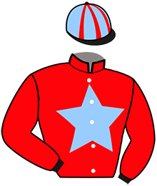 Casaque de LADY DE SAFRAN