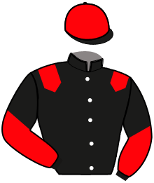 Casaque de MISTER DE L'AUMOY