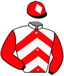 Casaque de LADY ANGELINA