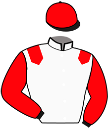 Casaque de NOVA ISTORIA CHOC