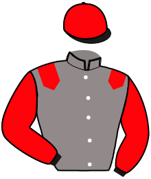 Casaque de NORMANDIE NIEMEN