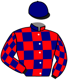 Casaque de GOLDEN CITY