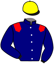 Casaque de HEROS DES MOTTES