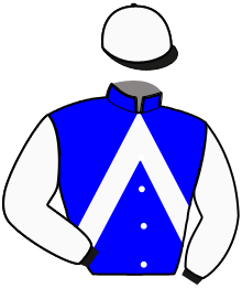 Casaque de KELLY DU RIL