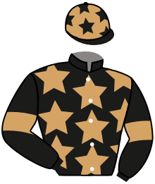 Casaque de ATTACK MASSIVE