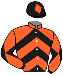 Casaque de THE LAST FOAL