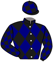 Casaque de ICEBREAKER