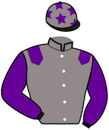 Casaque de NEVER GIVE UP ALLY