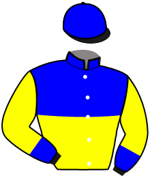 Casaque de DAUPHIN JOYEUSE