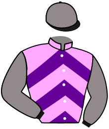 Casaque de LE TYCOON