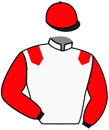 Casaque de PENN VALLEY