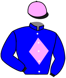 Casaque de OPENSOLA FAL