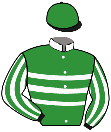 Casaque de JUSHUA TREE