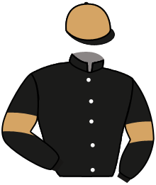 Casaque de GOLDEN BROWN