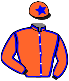 Casaque de KING LE DUN