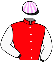 Casaque de NETCHE BEST