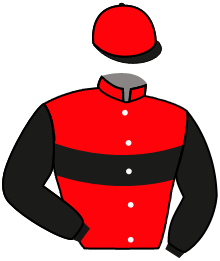 Casaque de TOUTELUSIVE