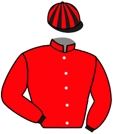 Casaque de LULLY DU HUTREL