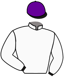 Casaque de TORTISAMBERT