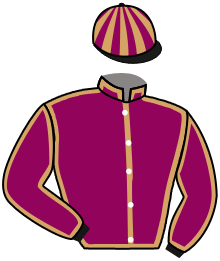 Casaque de FREED FROM DESIRE