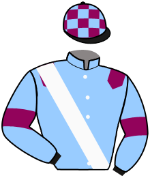 Casaque de IPSO FACTO