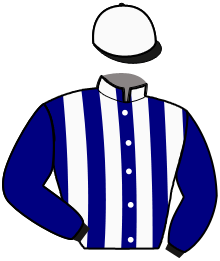 Casaque de MASKOTE GARLINOISE