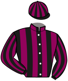 Casaque de MIDNIGHT SPECIAL