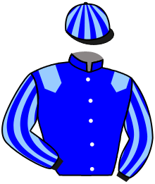 Casaque de SILVER ARROW