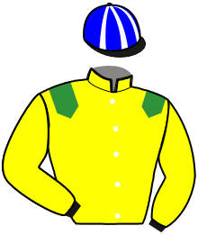 Casaque de NEEDLE OF DEATH