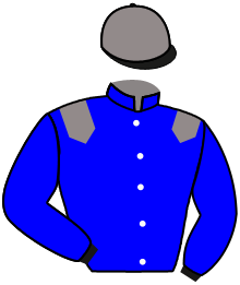 Casaque de HEAVEN CITY