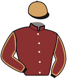 Casaque de JIVAGO DE BEYLEV