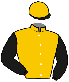 Casaque de FELLOW WISE AS