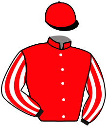 Casaque de LE CHAMP DU CYGNE