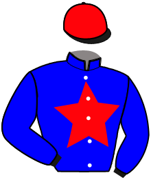 Casaque de JOYEUX DE FONTAINE