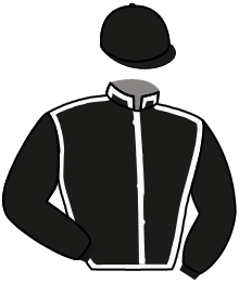 Casaque de DOWN TOWN