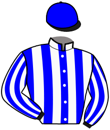 Casaque de GRIZZO JET