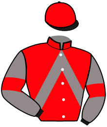 Casaque de MIDNIGHT SOMOLLI