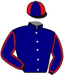 Casaque de IRINO DE GUERON