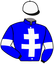 Casaque de IVY METAL