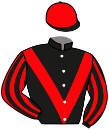 Casaque de ILLICO DES BORDES