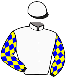 Casaque de BOMBER MAN