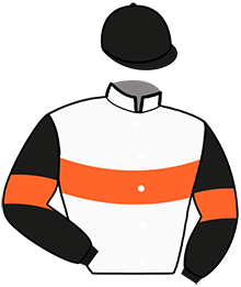 Casaque de NET MONEY