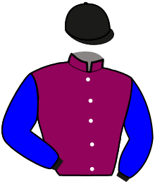 Casaque de MERRY STAR